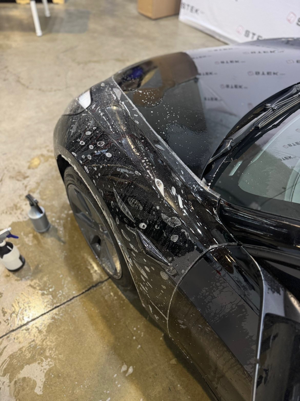 Paint Protection Film 3