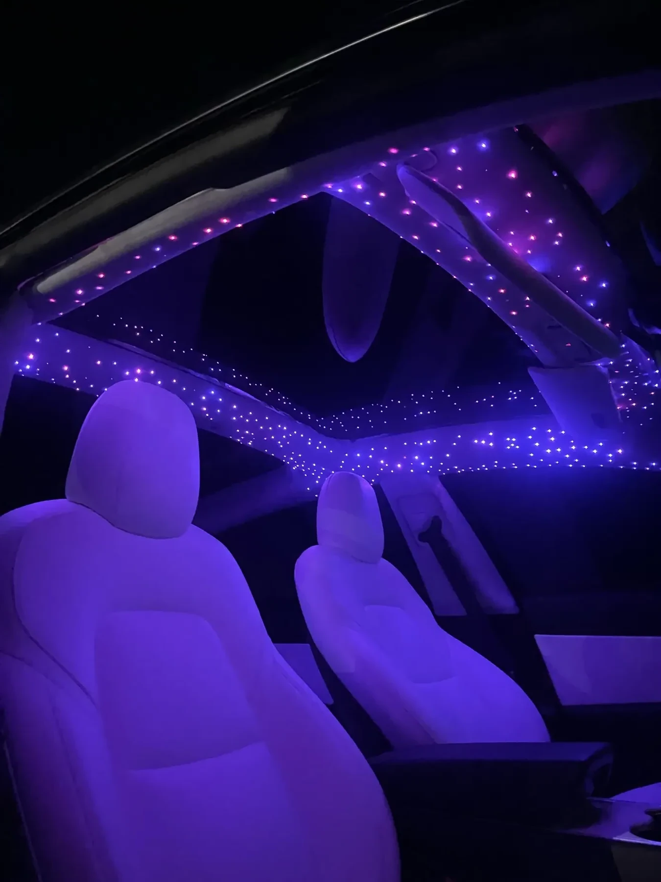 Starlight Header 1